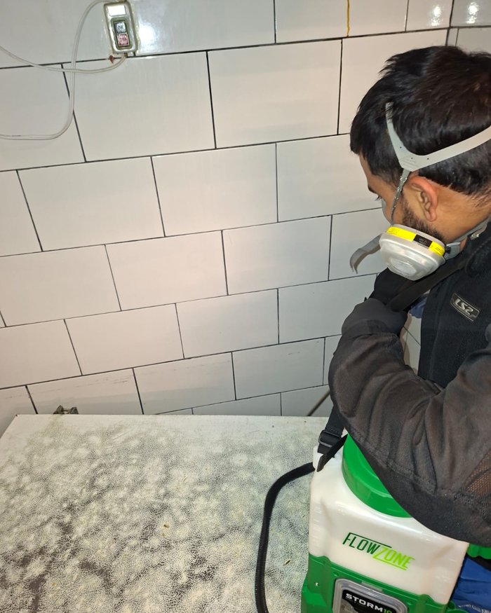 Control de plagas salud
