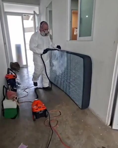 Control de plagas residencial